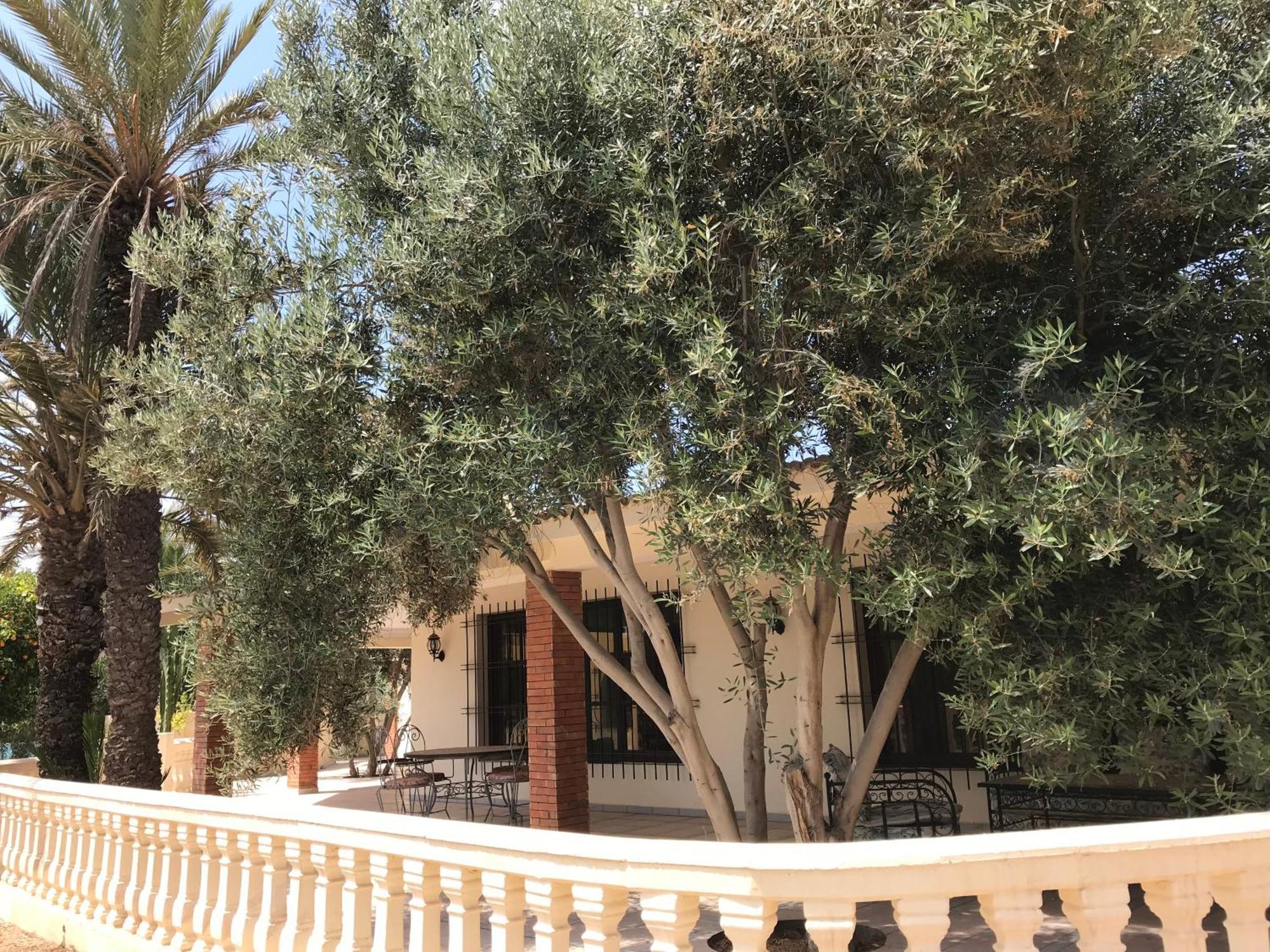 Tiguimi Vacances - Oasis Villas, Cadre Naturel Et Vue Montagne Агадир Экстерьер фото