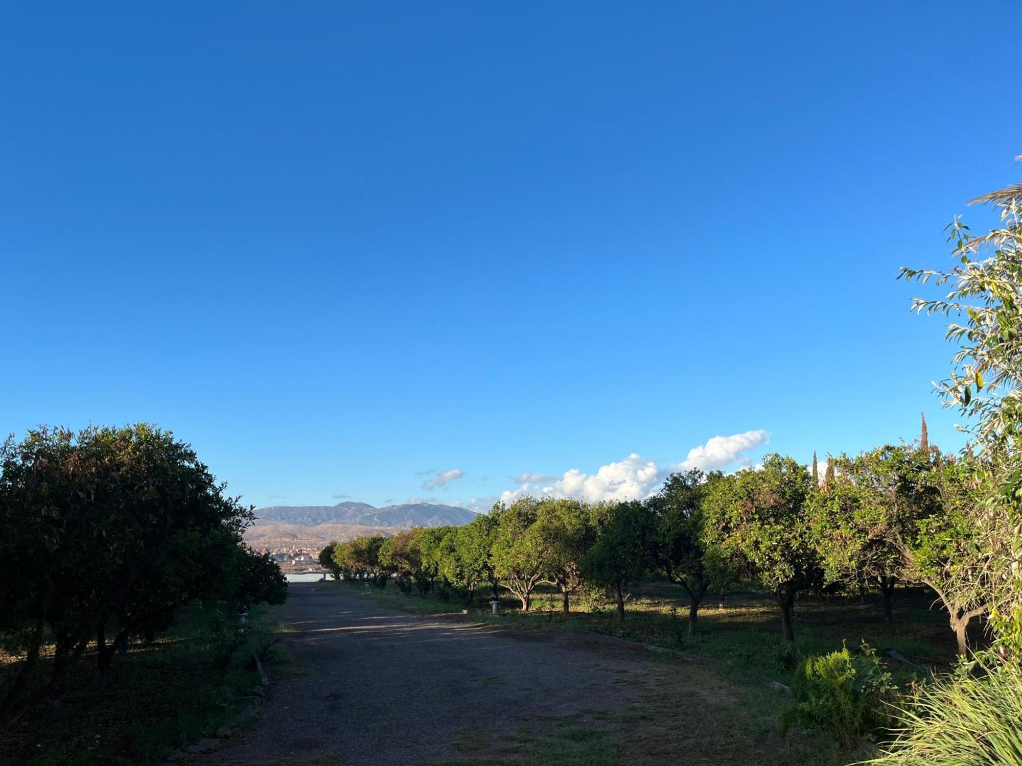 Tiguimi Vacances - Oasis Villas, Cadre Naturel Et Vue Montagne Агадир Экстерьер фото